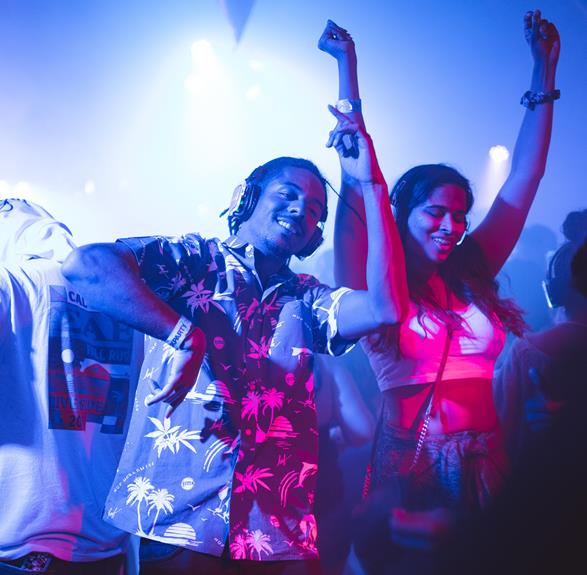 role and responsibilities of djs